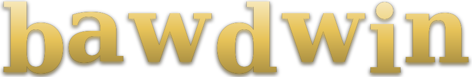 bawdwin logo